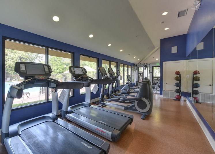 Fitness Center with Treadmills, Free Weights, Large Windows and Ceiling Lights
